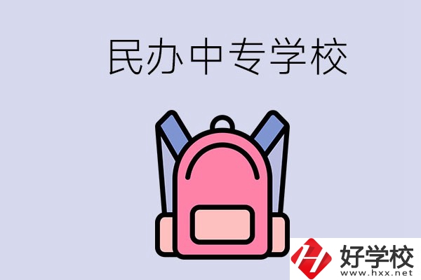 益陽的民辦中專學(xué)校有多少所？辦學(xué)怎么樣？