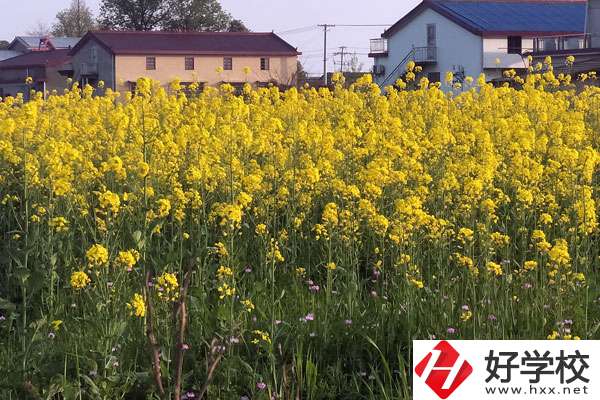 湖南省有哪些比較好的技校？熱門專業(yè)有哪些？