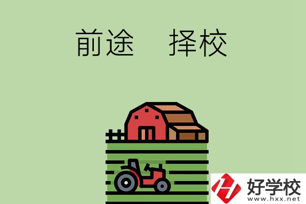 在長沙讀中職學(xué)校有前途嗎，如何擇校？