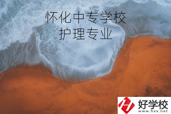 懷化有學(xué)護(hù)理專業(yè)的中專學(xué)校嗎？