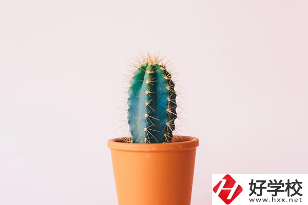 長沙有哪些中職學(xué)?？梢詫W(xué)習(xí)幼師專業(yè)？