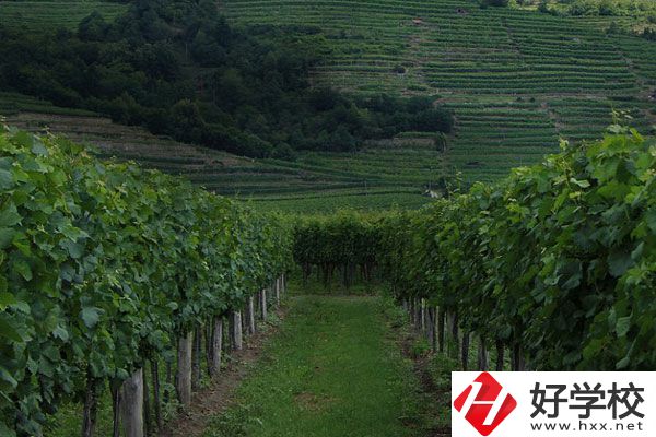 中鋼集團(tuán)衡陽(yáng)重機(jī)技工學(xué)校好不好？值得讀嗎？