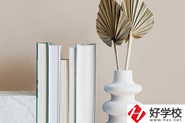 懷化職業(yè)技術(shù)學(xué)院(中職部)好不好，值得選擇嗎？