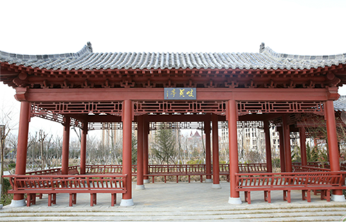 山東中醫(yī)藥高等?？茖W(xué)校