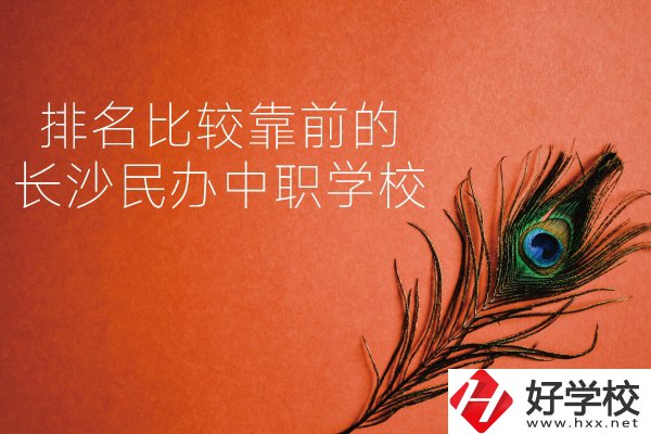 長(zhǎng)沙哪些民辦中職學(xué)校排名比較靠前？