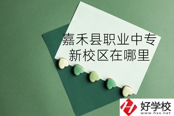 嘉禾縣職業(yè)中專怎么樣？新校區(qū)在哪里？