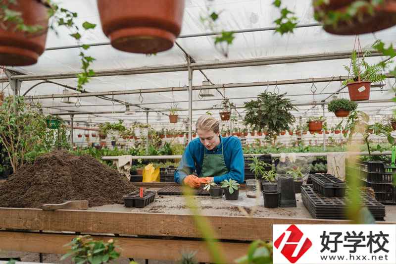 湖南省湘潭縣職校有什么專業(yè)可以選擇？