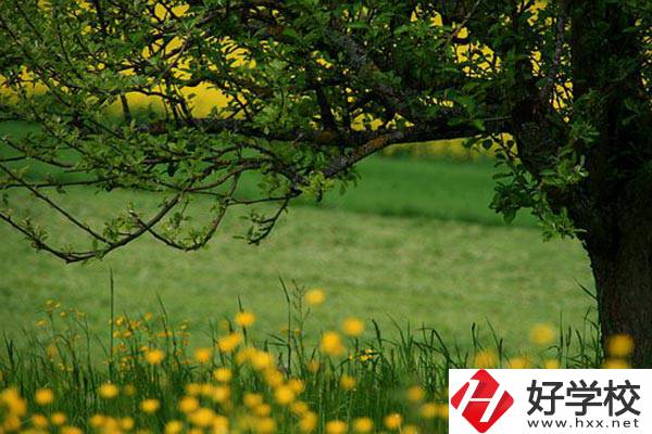 在邵陽(yáng)讀中職有前途嗎？如何選擇學(xué)校呢？