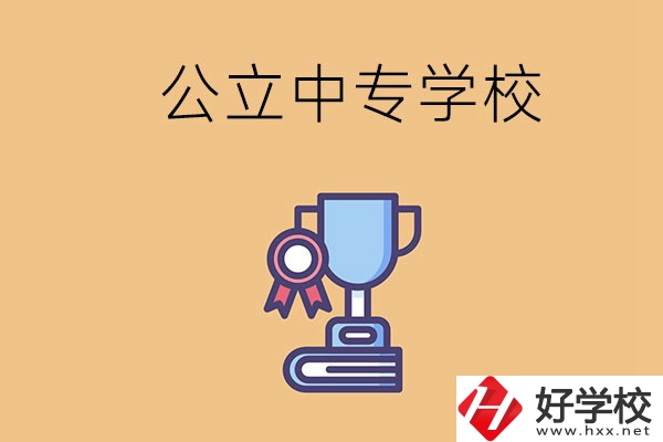 常德的公立中專學(xué)校有哪些？有什么特色？