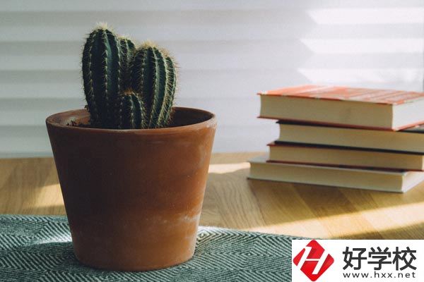 桃江縣職業(yè)中專學校辦學條件怎么樣？有哪些特色？