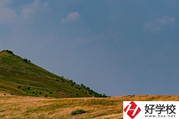 想在常德學(xué)動漫設(shè)計專業(yè)，有合適的學(xué)校嗎？