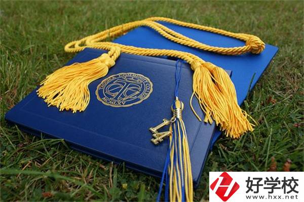 在湖南中職學(xué)哪些專業(yè)更容易考本科？