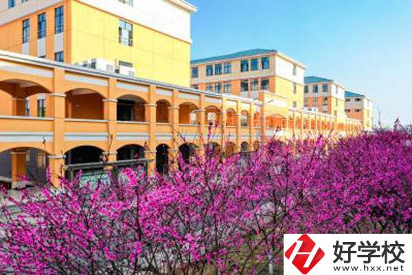 湖南省隆回縣職業(yè)中等專業(yè)學(xué)校有哪些辦學(xué)特色？