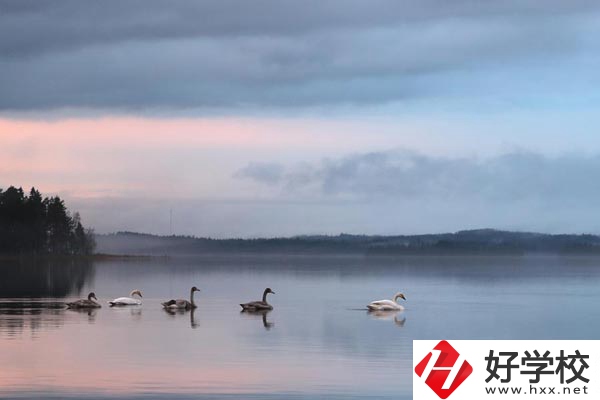 湖南有色金屬中專學(xué)校有哪些專業(yè)？就業(yè)方向如何？