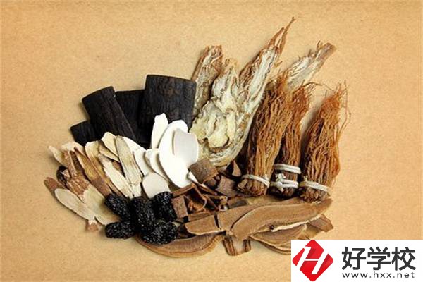 在湘西學中草藥栽培怎么樣？開設此專業(yè)的學校有哪些？