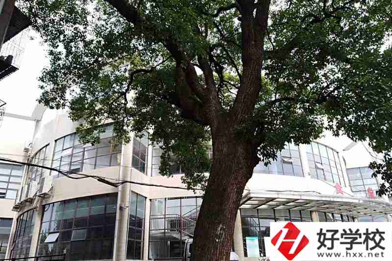 衡陽排名前三的職業(yè)學(xué)校你知道有哪幾所？