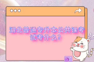 湖北普通專升本公共課考試考什么？