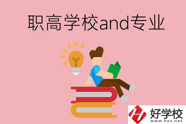 湖南省有哪些職高學(xué)校？開設(shè)了什么專業(yè)？