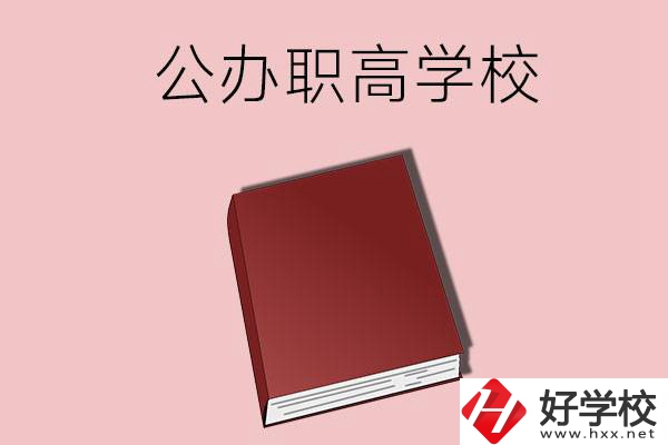 湖南有什么公辦的職高學(xué)校？