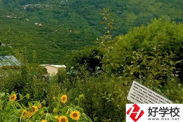 長(zhǎng)沙公辦中職學(xué)校好不好？都有哪些學(xué)校？