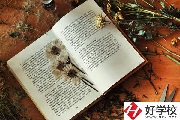 張家界市高級技工學(xué)校是公辦院校嗎？有哪些專業(yè)？