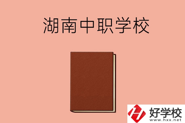 湖南有哪些就業(yè)率比較高的中職學(xué)校？
