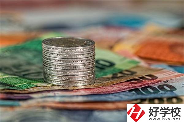 湖南職校會(huì)計(jì)電算化專業(yè)怎么樣？就業(yè)前景好不好？