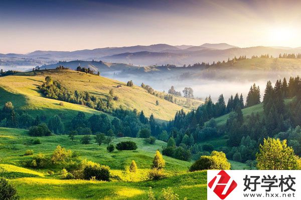 衡陽的中專學(xué)校有哪些新開設(shè)的專業(yè)？