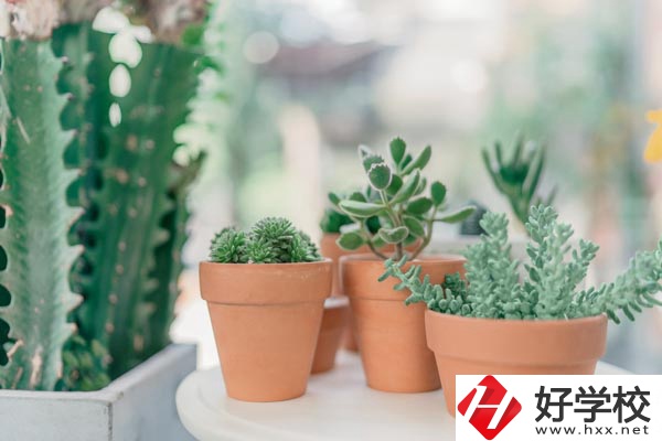 瀏陽市三聯(lián)工業(yè)學校辦學條件怎么樣？
