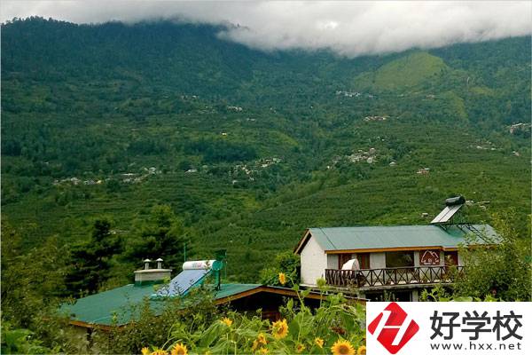 益陽大誠職業(yè)學校的專業(yè)怎么樣？就業(yè)方向如何？