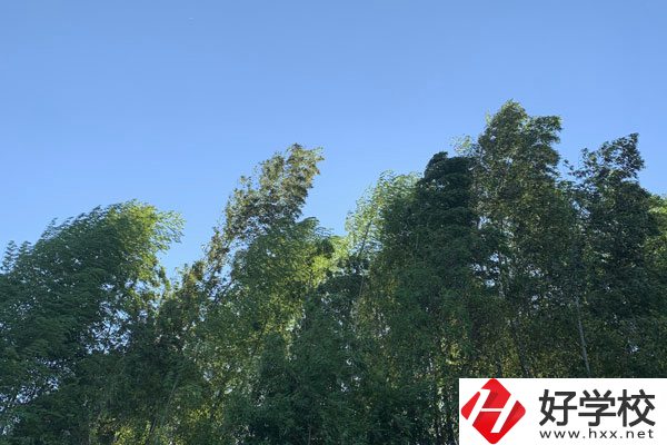 張家界協力技工學校好不好？就業(yè)前景怎么樣？