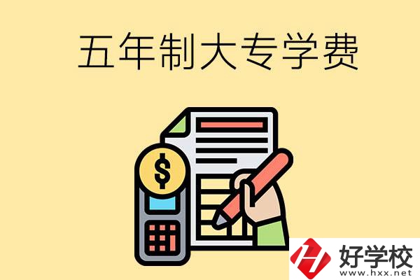 在長沙讀五年制大專一年學(xué)費(fèi)是多少？有補(bǔ)貼嗎？