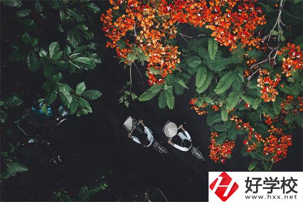 湖南分?jǐn)?shù)低選私立高中還是選職校？選職校還能統(tǒng)考嗎？
