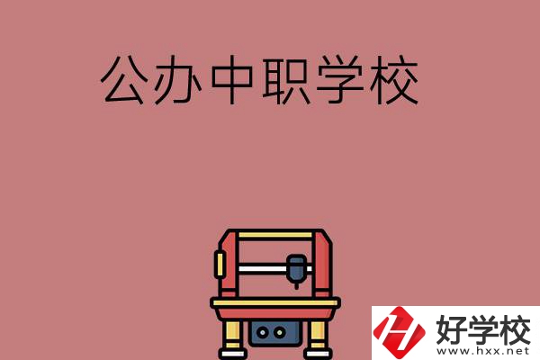 長沙可以學(xué)計(jì)算機(jī)應(yīng)用專業(yè)的公辦中職學(xué)校有哪些？