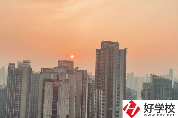 株洲人工智能職業(yè)技術學校的計算機網(wǎng)絡專業(yè)好么？