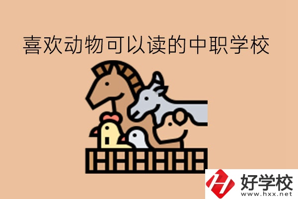 喜歡動物的學生，可以讀這些中職學校!