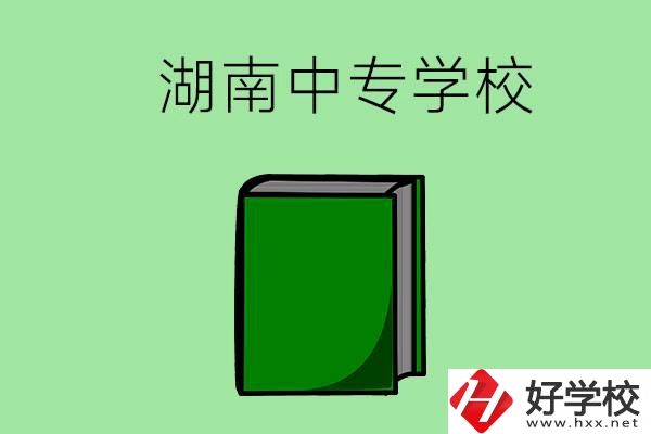 湖南的中專學(xué)校有哪些？都開設(shè)了哪些專業(yè)？