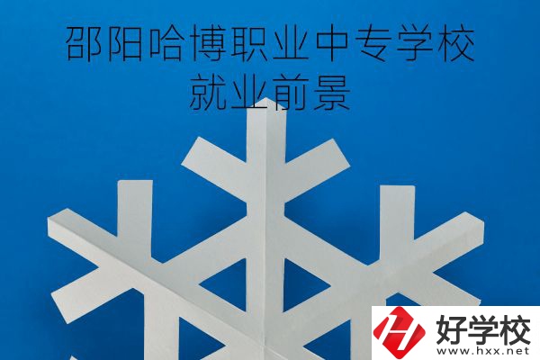 邵陽(yáng)哈博職業(yè)中專(zhuān)學(xué)校就業(yè)前景怎樣？