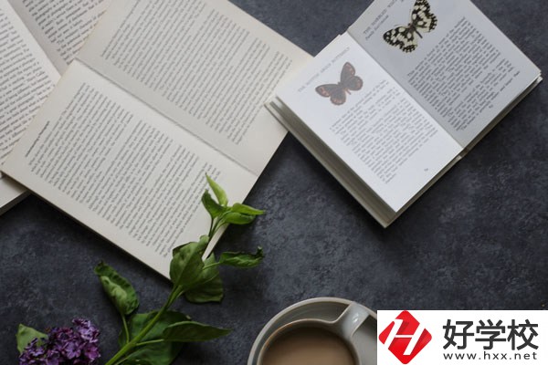 湘南船山技工學(xué)校好不好？環(huán)境怎么樣？