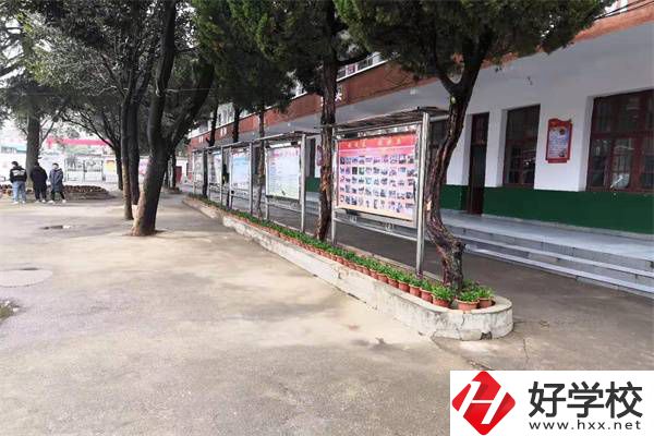 岳陽有沒有升學率高的民辦職高？職高能升學是真的嗎？