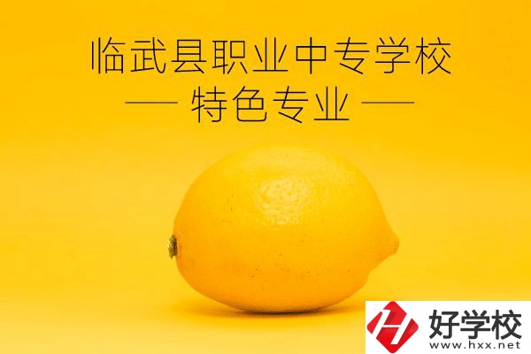 臨武縣職業(yè)中專學(xué)校好嗎？有哪些特色專業(yè)？