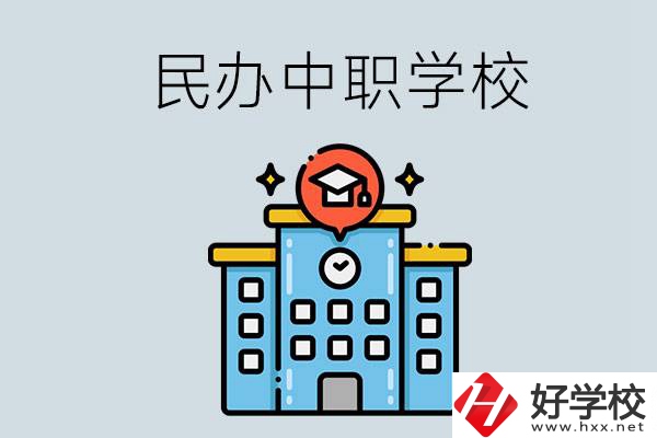 婁底新化縣的民辦中職學校一共有多少所？