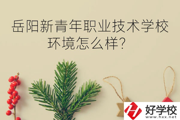 岳陽新青年職業(yè)技術(shù)學(xué)校好不好？環(huán)境怎么樣？