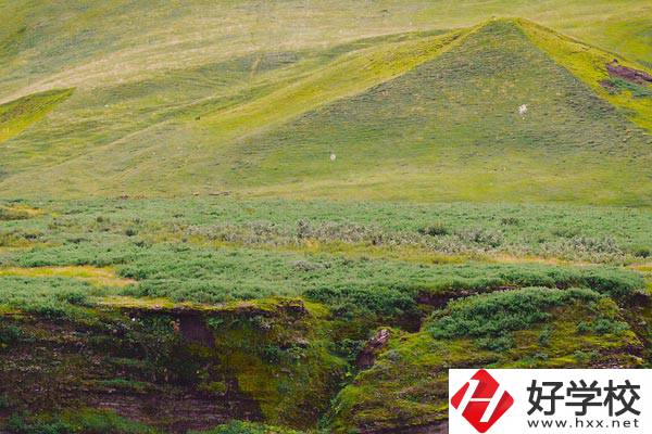 湖南衡南職業(yè)中等專業(yè)學(xué)校好嗎？學(xué)校有什么優(yōu)勢？