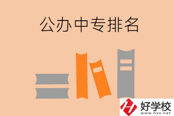 湘潭公辦中專排名前五的是哪些？