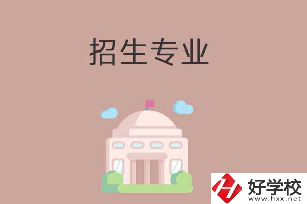 益陽有哪些高職院校設(shè)立了中職部？招生專業(yè)有哪些？