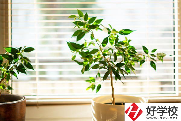 湖南省商業(yè)技師學(xué)院有哪些教學(xué)特色？報(bào)考有何要求？