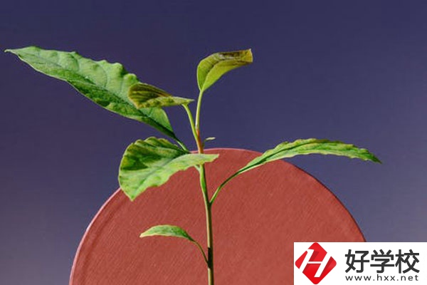株洲市工業(yè)中等專校怎么樣？好不好？