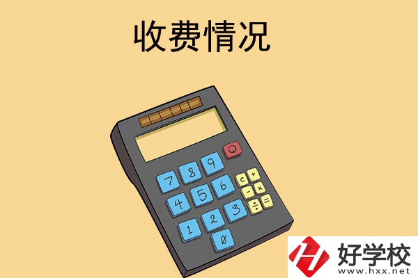 長(zhǎng)沙的中專(zhuān)學(xué)校收費(fèi)情況怎么樣？