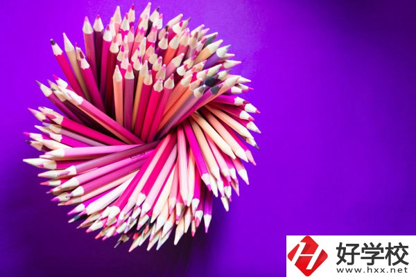 在懷化有什么職?？梢詫W習幼師？好不好？